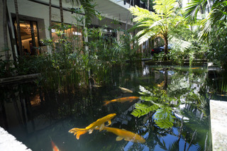 Koi Pond with Plants - Shops - Bal Harbour (1)